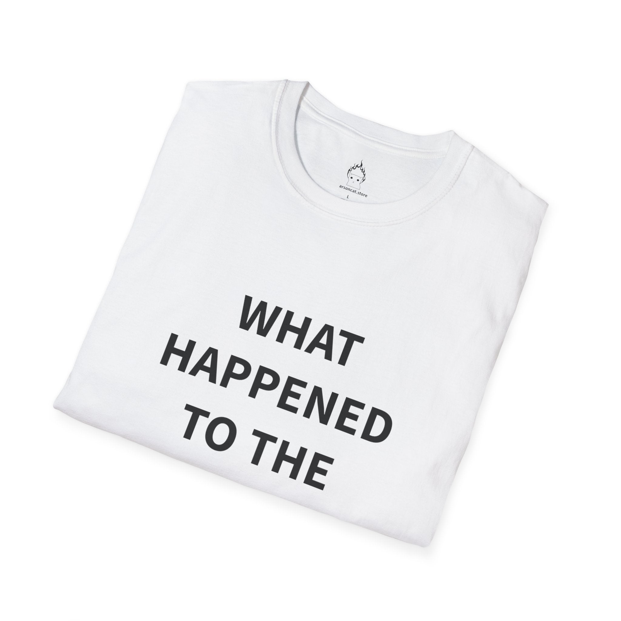 What Happened to the Epstein Files