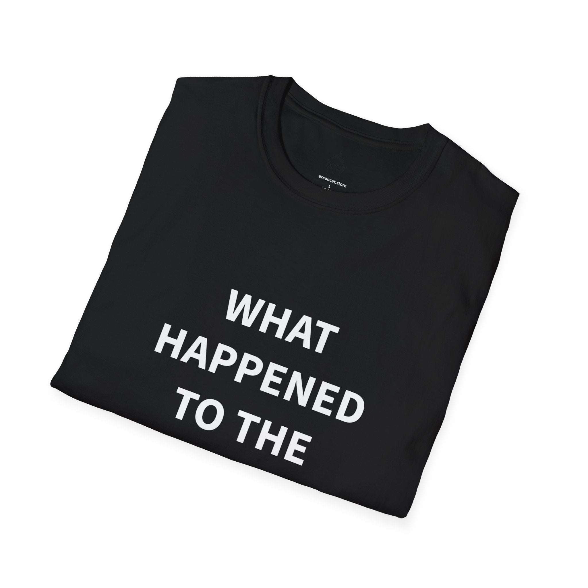 What Happened to the Epstein Files